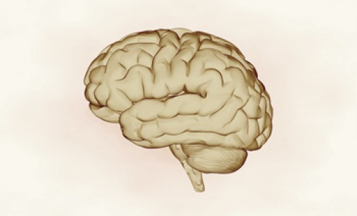 Brain Injuries